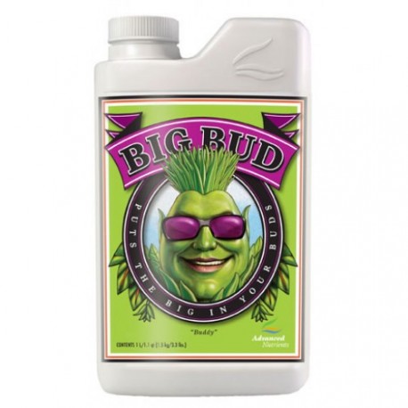 Big-Bud.jpg