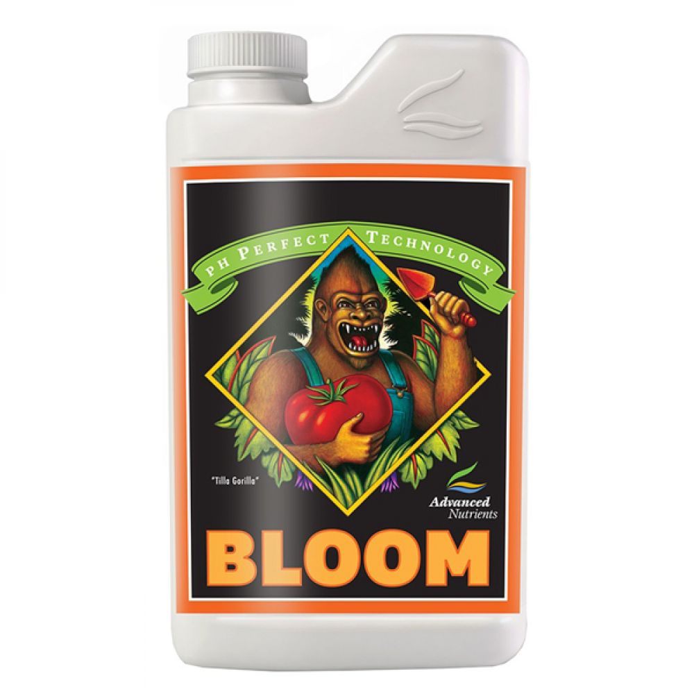 Bloom.jpg