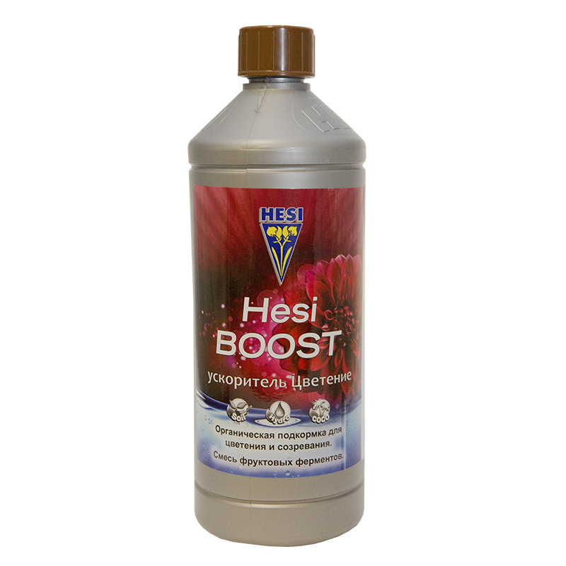 Hesi-BOOST.jpeg