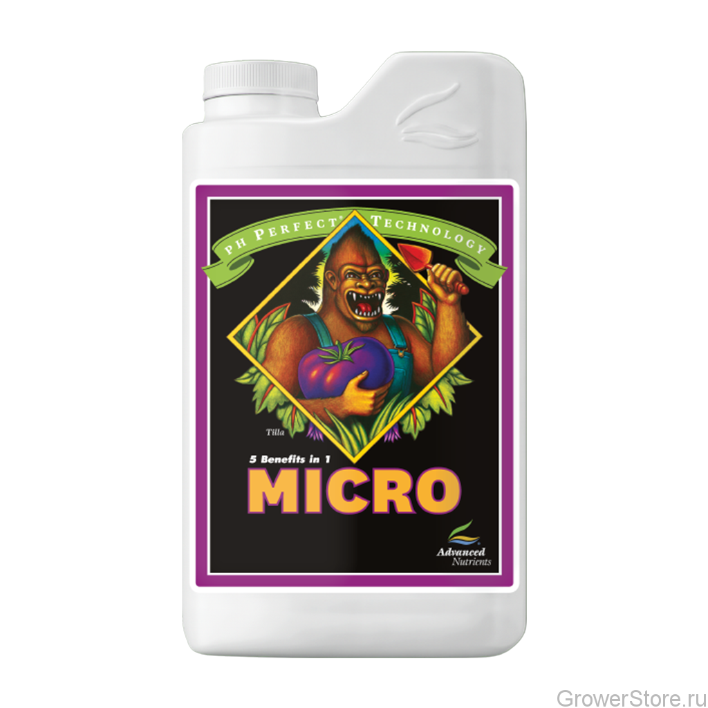 Micro.png